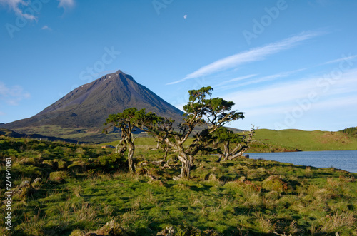 Volcano Pico Azores beautiful Landscape
