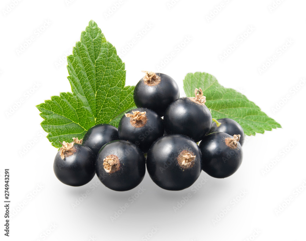 Johannisbeere Johannisbeere