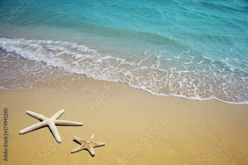 Two starfish on a beach. Sand and sea wave.