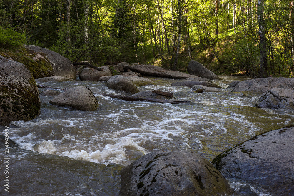 mountain river in the forest mountain river in the forest