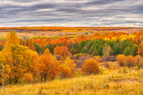 Picturesque autumn landscape in green and yellow colors. Panoramic view from hill to lowland with grove  village and field in cloudy day. Colorful autumnal nature  beautiful natural background