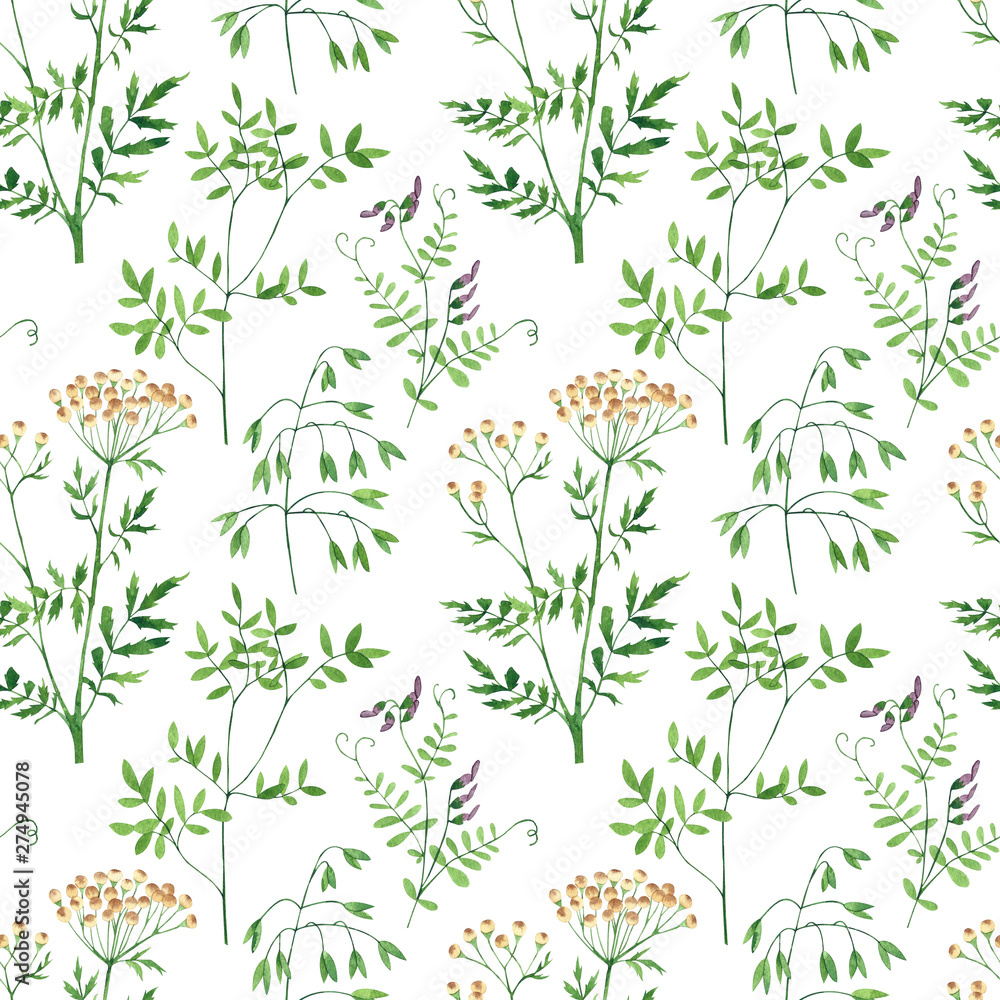Seamless pattern of culinary and medicinal herbs. Watercolor botanical illustration.