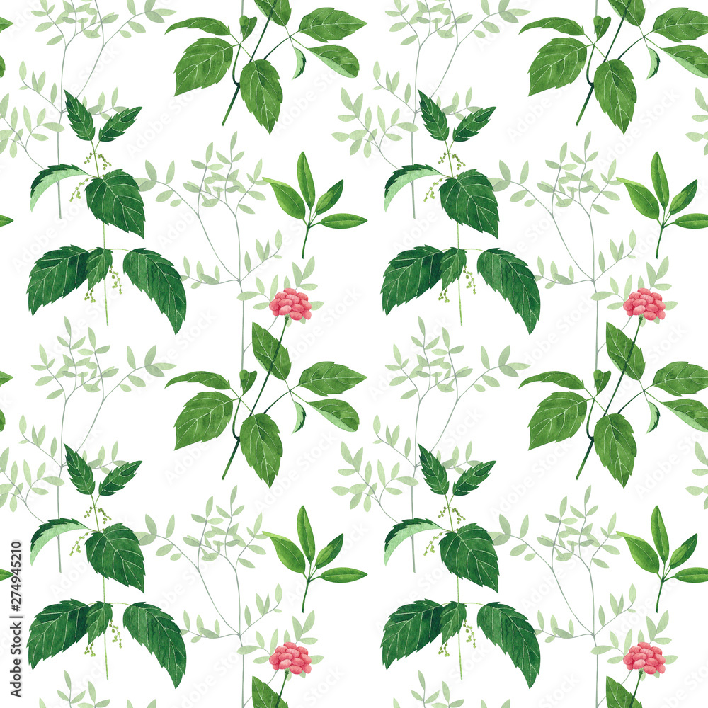 Seamless pattern of culinary and medicinal herbs. Watercolor botanical illustration. Seamless pattern of culinary and medicinal herbs. Watercolor botanical illustration.