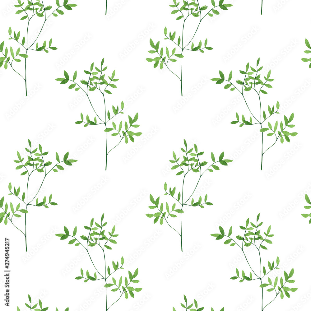 Seamless pattern of culinary and medicinal herbs. Watercolor botanical illustration.