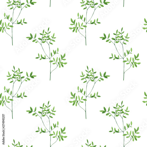 Seamless pattern of culinary and medicinal herbs. Watercolor botanical illustration.