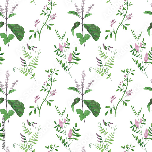 Seamless pattern of culinary and medicinal herbs. Watercolor botanical illustration.