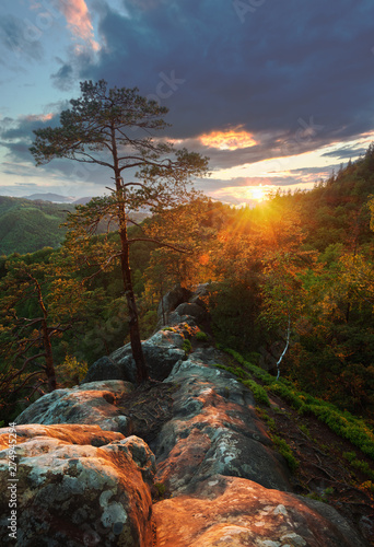 Evening on the cliff over the forest