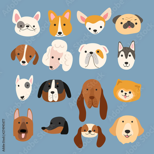 Set of Puppy faces isolated on pastel background : Vector Illustration © da_on
