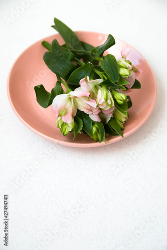A sprig of flowers lying, on a pink plate on a white background
