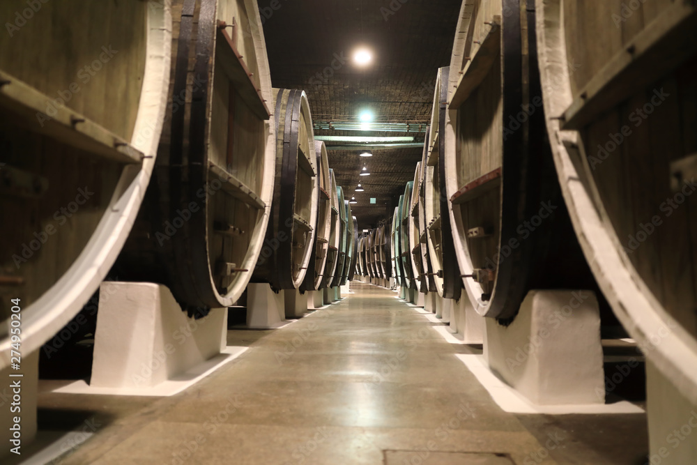 Obraz premium interior of a winery