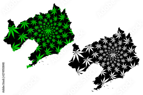 Liaoning Province ( People's Republic of China, PRC) map is designed cannabis leaf green and black, Fengtian or Fengtien (Mukden) map made of marijuana (marihuana,THC) foliage....