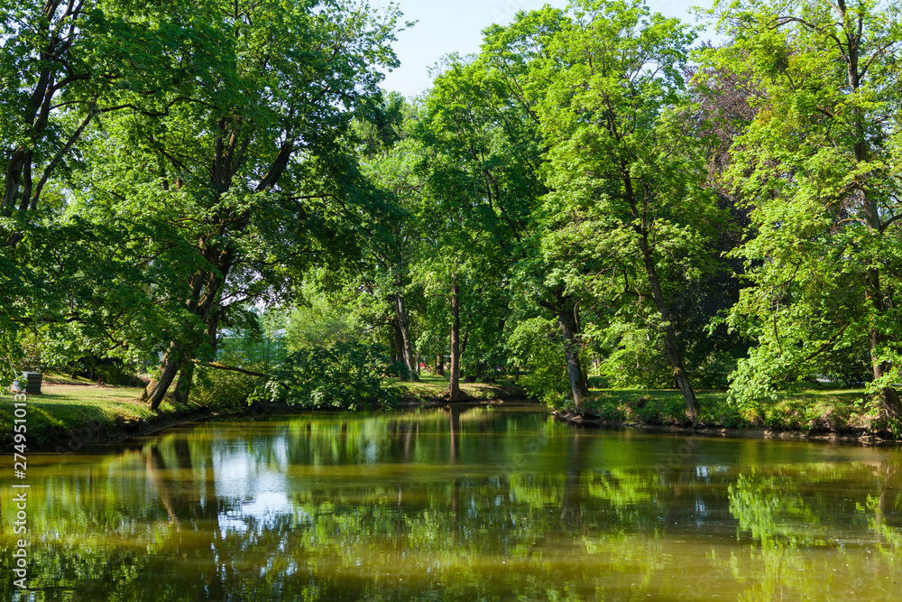 Beautiful park and a pond in summer time Beautiful park and a pond in summer time