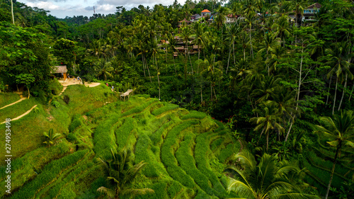 Rice Paddy Fields near Ubud in Bali, Indonesia.