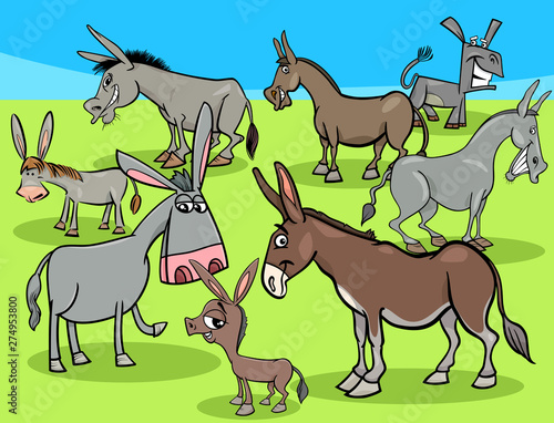 funny donkeys cartoon farm animals group