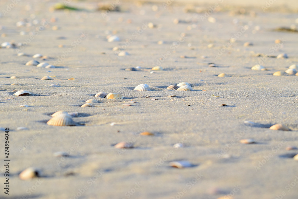 Nordseestrand - Eindrücke und Momente Juni 2019 Nordseestrand - Eindrücke und Momente Juni 2019