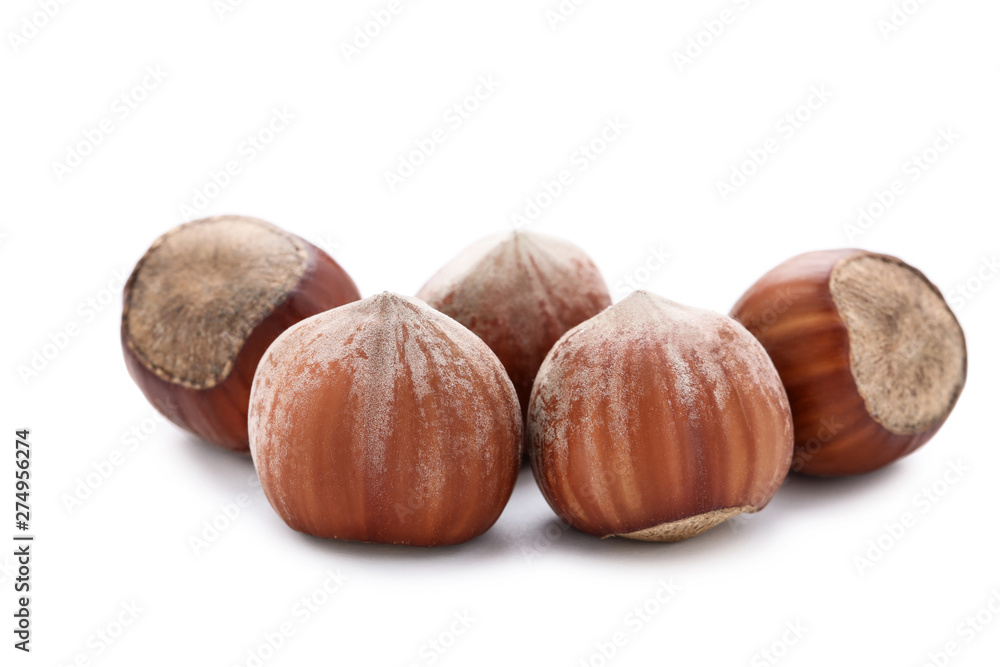 Hazelnuts isolated on white background Hazelnuts isolated on white background