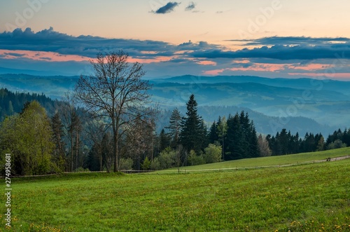 Beautiful spring mountain landscape. Trees and hills in the evening scenery.