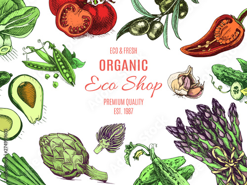 Eco shop farm product. Vector sketch vegetables. Organic farm shop.