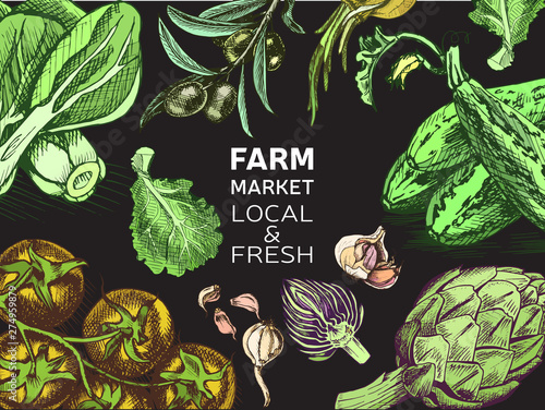 Eco shop farm product. Vector sketch vegetables. Organic farm shop.