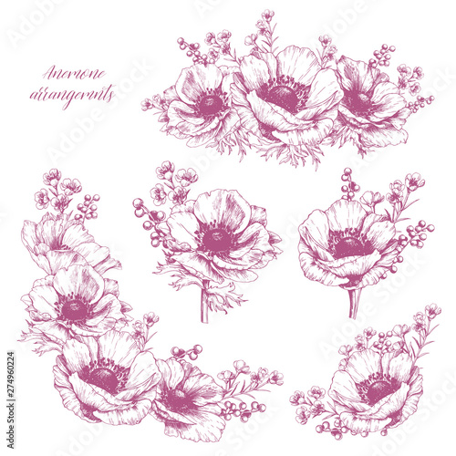 Elegant set of flower arrangements with anemone. Vector hand drawn floral design element.