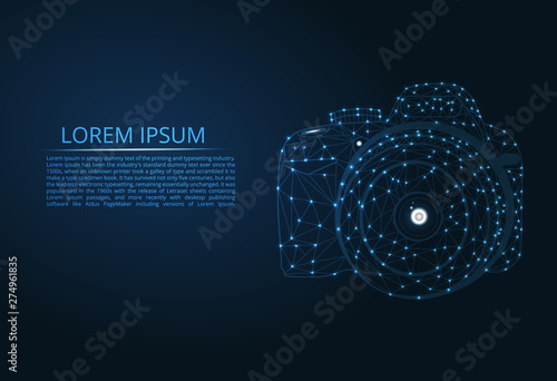 Vector camera. Abstract polygonal skeleton illustration of a camera on a dark blue night sky background with dots and stars, figures of glass.