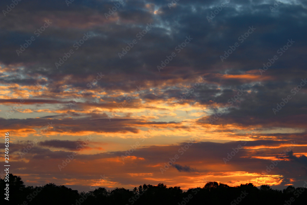 Sunset over trees in France