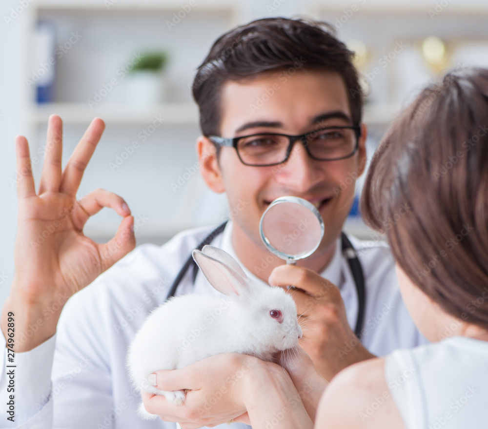 Woman with pet rabbit visiting vet doctor Woman with pet rabbit visiting vet doctor