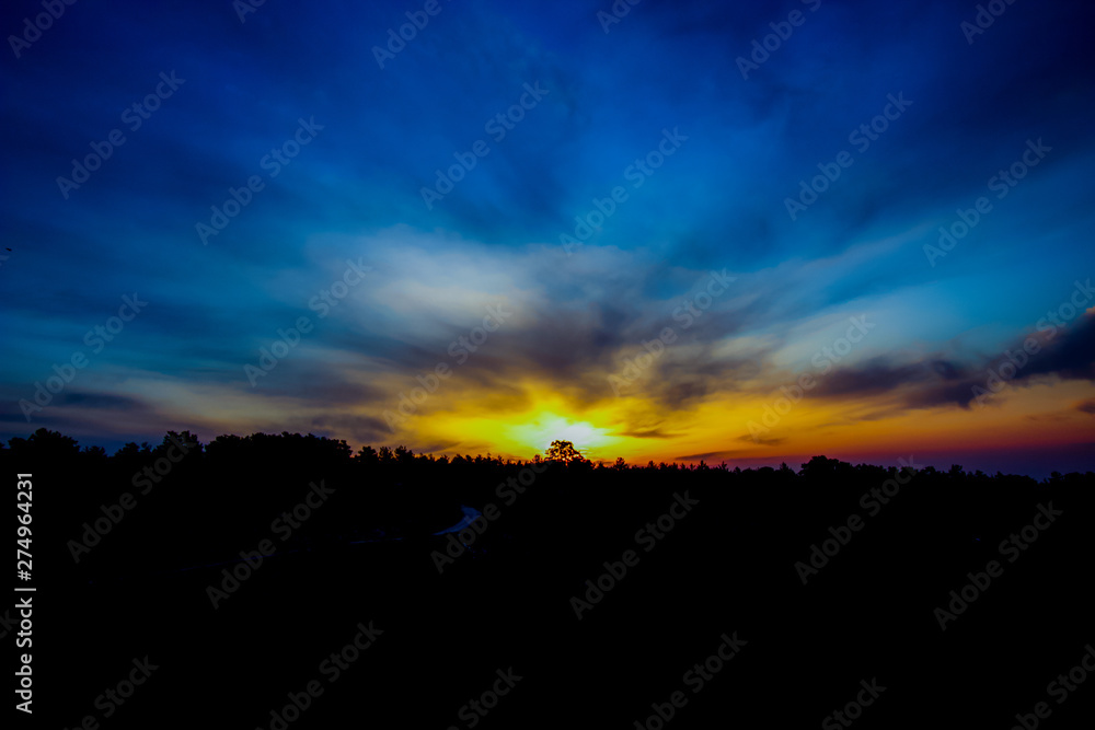 The morning sun rising over the mountain, a tree in centre of the sun to mixed array of colours to start the day , for a background text, abstract illustration, Limassol, Cyprus The morning sun rising over the mountain, a tree in centre of the sun to mixed array of colours to start the day , for a background text, abstract illustration, Limassol, Cyprus
