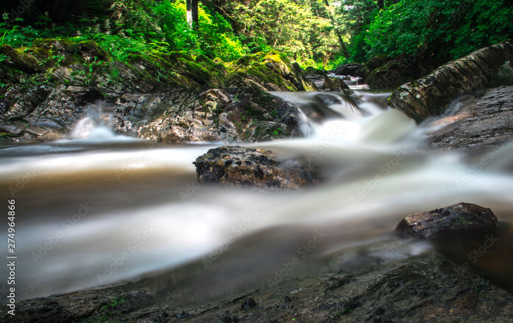 Obraz premium long exposure, mini falls, in the forest