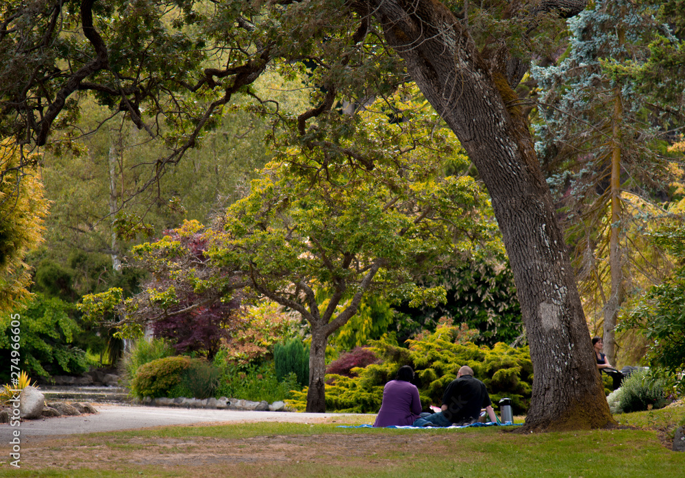 Fototapeta premium enjoying in park, walk in park, picnic in park