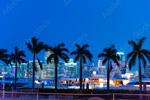Palm trees, yachts and skyscrapers in Miami at night © Gabriele Maltinti