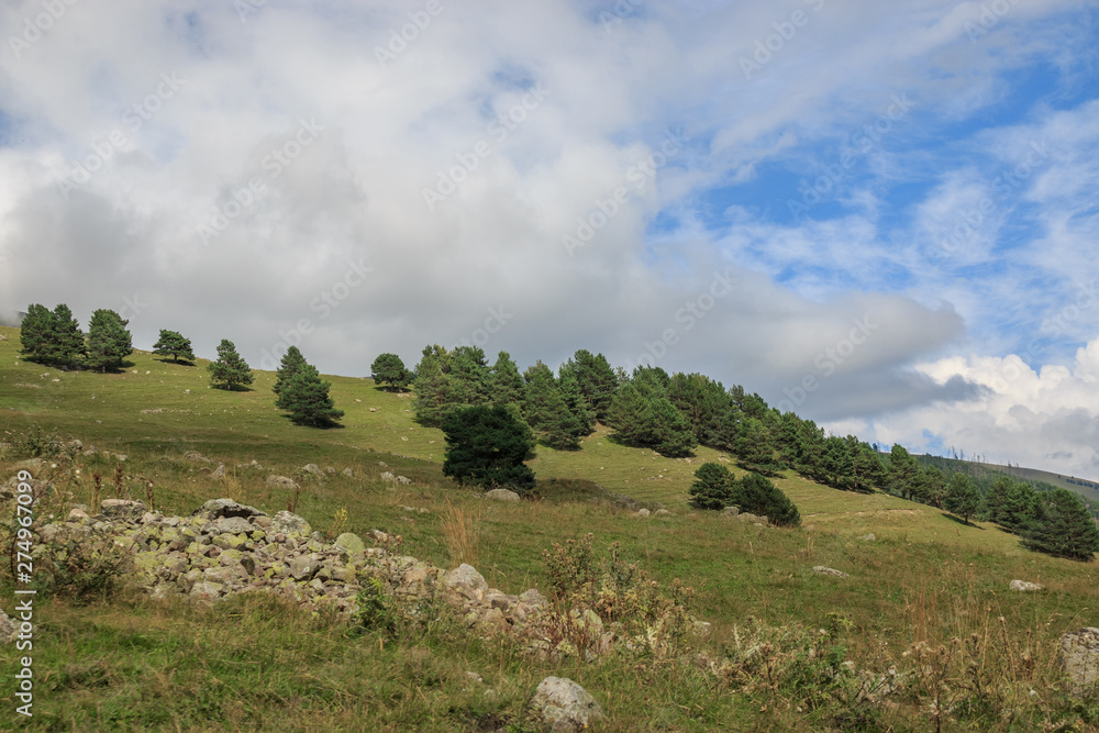 Obraz premium Panorama view of forest and mountains scenes in national park Dombay