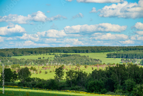 Wallpaper Mural beautiful landscape of summer grassland with green forest at sunny day  Torontodigital.ca