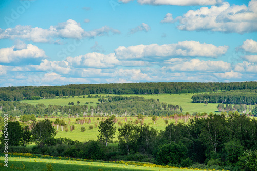 beautiful landscape of summer grassland with green forest at sunny day 