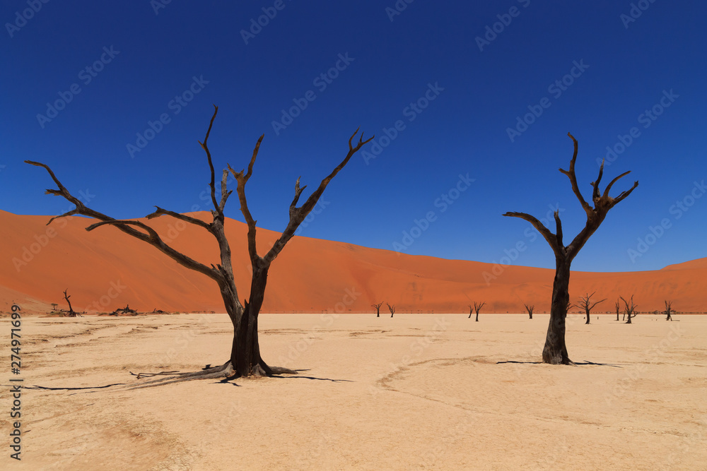 Dead Vlei