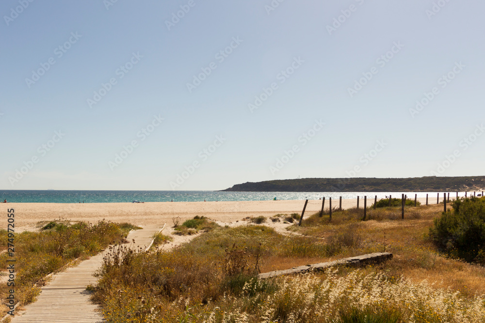 Beach and dune in Bolonia on the coast of Andalusia Beach and dune in Bolonia on the coast of Andalusia