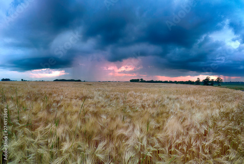 Beautiful sunset and storm clouds over the fields, on the last day of spring, in Biskupice Podgorne near Wroclaw, Poland. photo