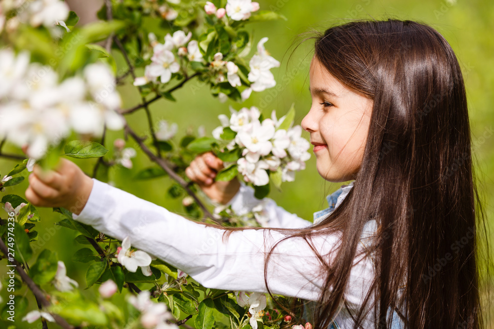 Fototapeta premium Adorable little girl in blooming cherry garden on beautiful spring day