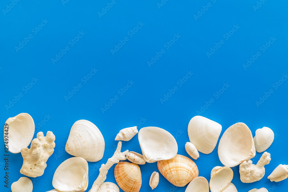 shells and seaside background for blog or desktop on blue table top view mock-up