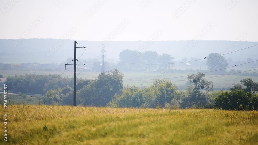 Farm dacha field with wheat or barley, wild flowers or wildflowers meadow, house building at sunrise morning with cars on road and birds perched on wires Farm dacha field with wheat or barley, wild flowers or wildflowers meadow, house building at sunrise morning with cars on road and birds perched on wires