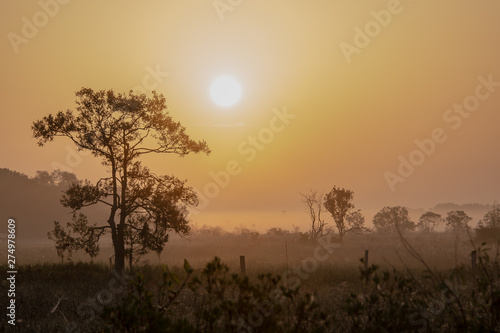Sunrise on a foggy morning in the Florida fields