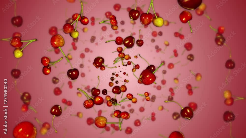 Falling Rotating CHERRIES with Alpha Matte, Animation, Loop, 4k Falling Rotating CHERRIES with Alpha Matte, Animation, Loop, 4k