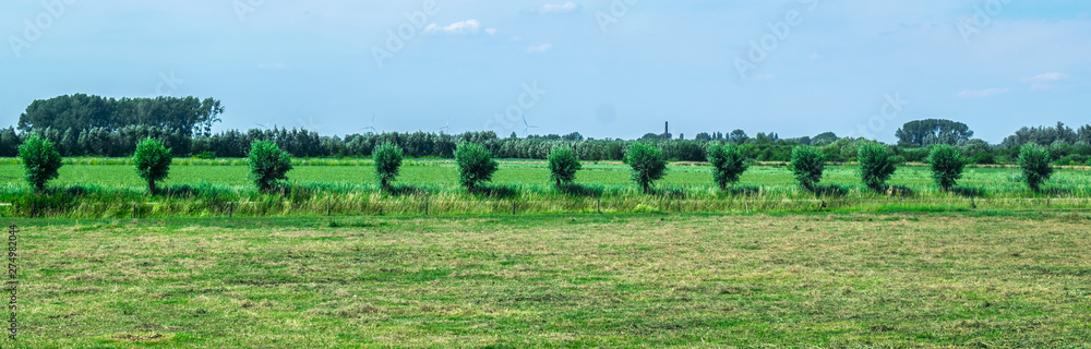 Dutch grass field with polder