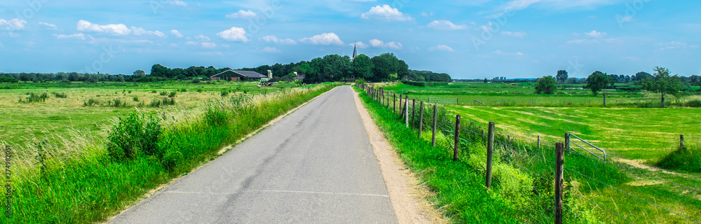 Dutch meadow panoramic landscape