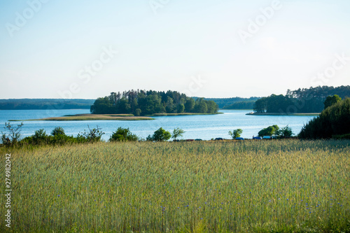 bachorze charzykowy bory tucholskie park narodowy bory tucholskie charzykowskie photo