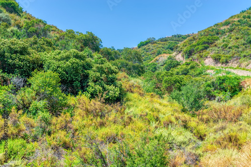 early summer dry hillsides in california