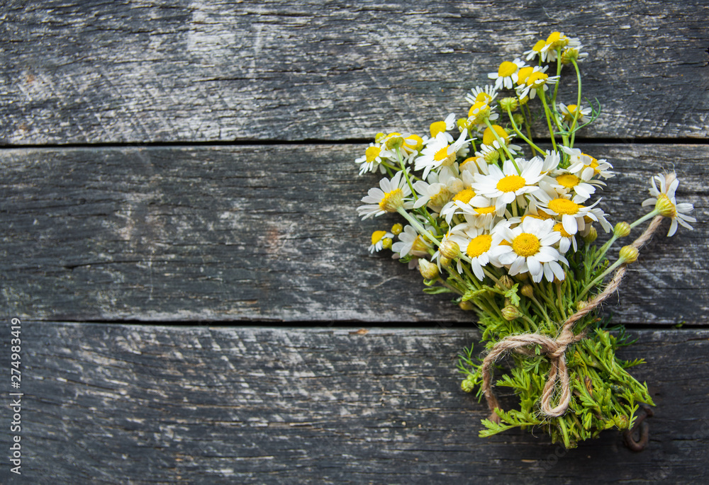 Obraz premium cup of herbal chamomile tea with fresh daisy flowers on wooden background. doctor treatment and prevention of immune concept, medicine - folk, alternative, complementary, traditional medicine 