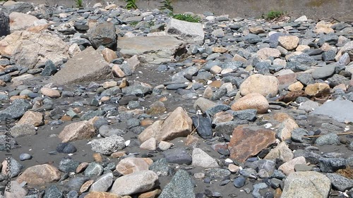 Close pan across a rocky waterfront photo