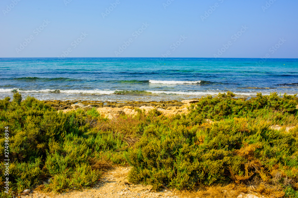 Yellow stone beach Ayia Napa with blue clear sea and green plants in the loukkos tou Mandi beach area Yellow stone beach Ayia Napa with blue clear sea and green plants in the loukkos tou Mandi beach area