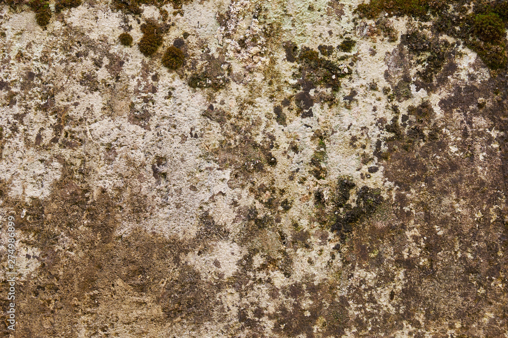 Stained and mossed limestone wall background Stained and mossed limestone wall background